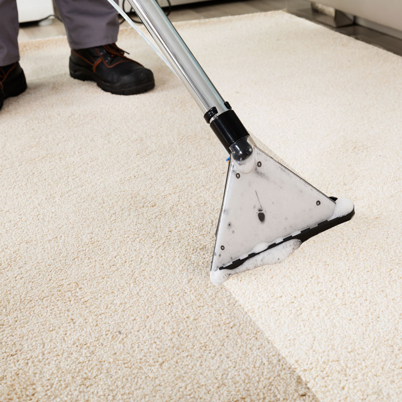 地毯清洗/洗地打蠟